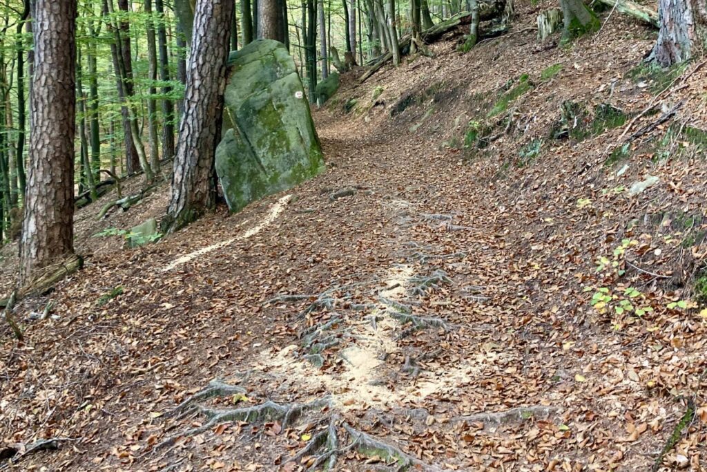 Pfad vom Humberg zum TSG-Brunnen, Autor Caroline Lassueur